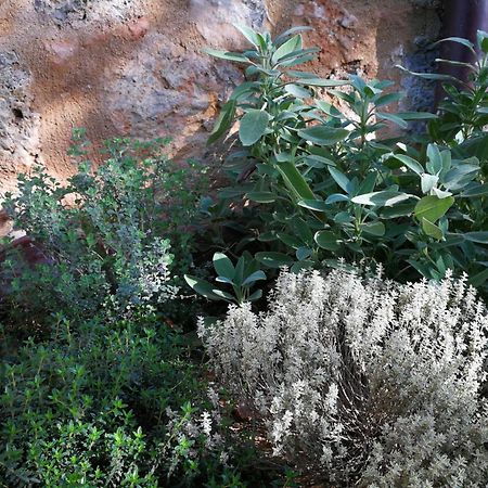 Appartamento CAMPAGNA - GIARDINO 10 min da Siena Malignano Esterno foto