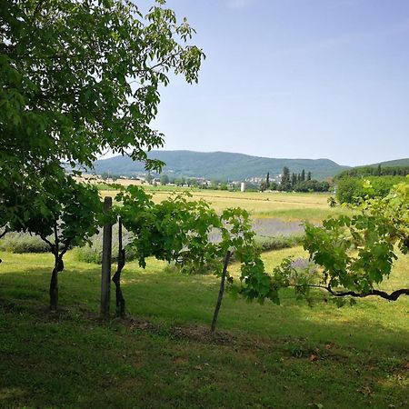 Appartamento CAMPAGNA - GIARDINO 10 min da Siena Malignano Esterno foto