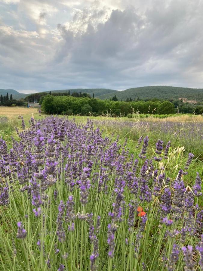Appartamento CAMPAGNA - GIARDINO 10 min da Siena Malignano Esterno foto