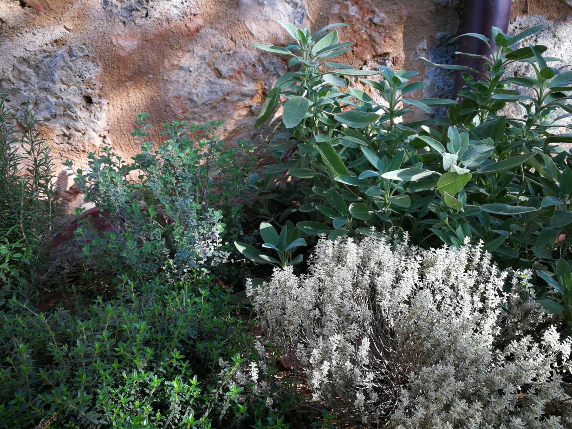 Appartamento CAMPAGNA - GIARDINO 10 min da Siena Malignano Esterno foto