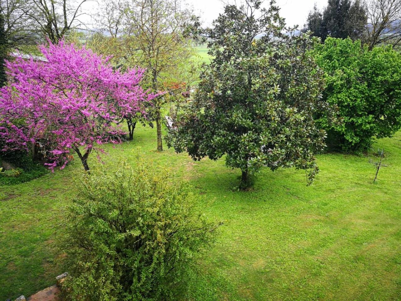 Appartamento CAMPAGNA - GIARDINO 10 min da Siena Malignano Esterno foto