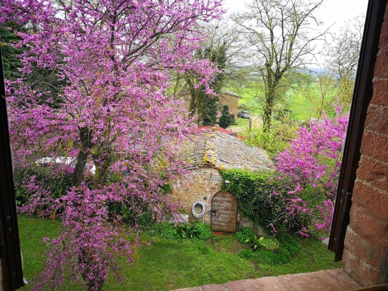 Appartamento CAMPAGNA - GIARDINO 10 min da Siena Malignano Esterno foto