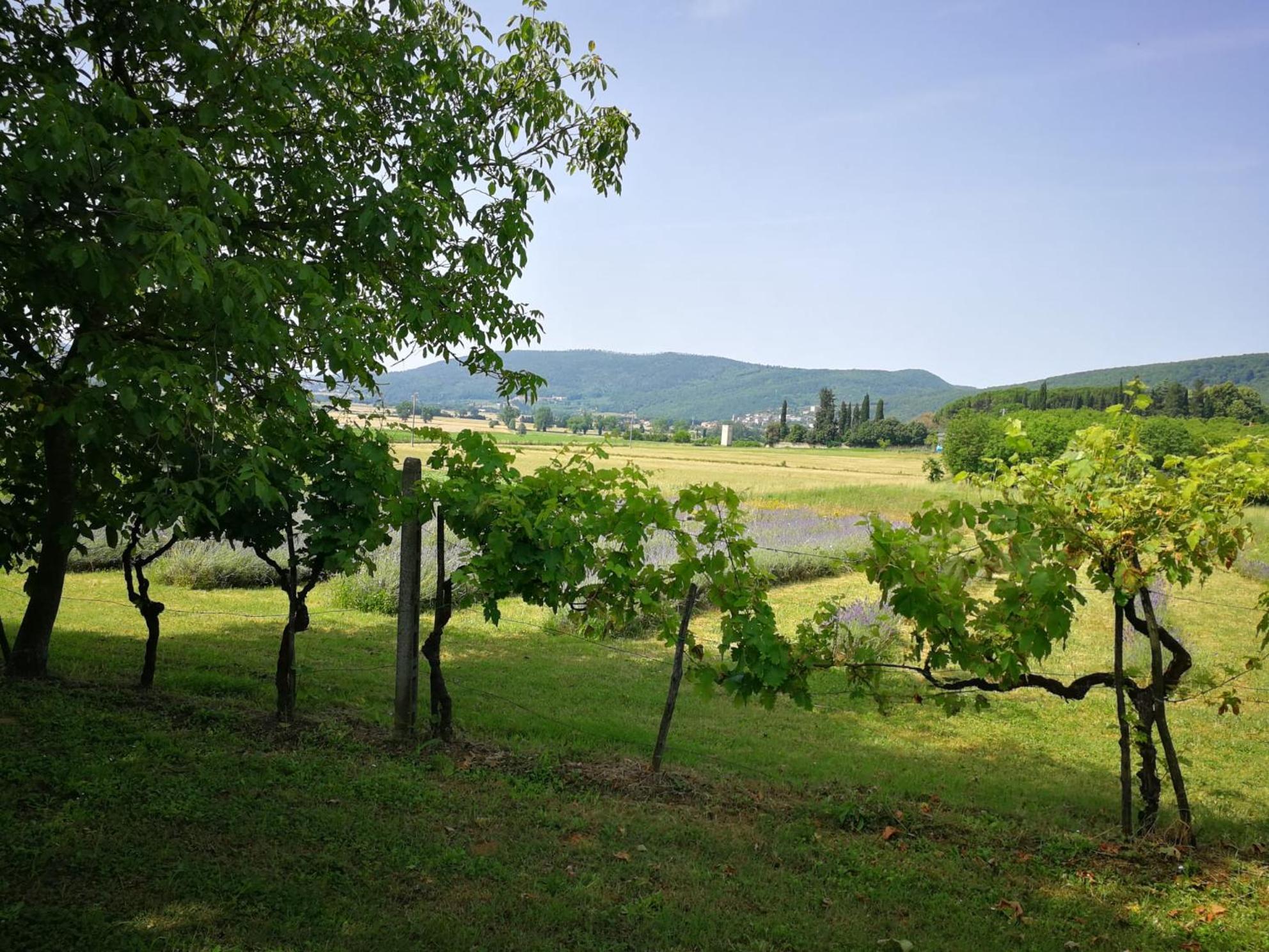 Appartamento CAMPAGNA - GIARDINO 10 min da Siena Malignano Esterno foto