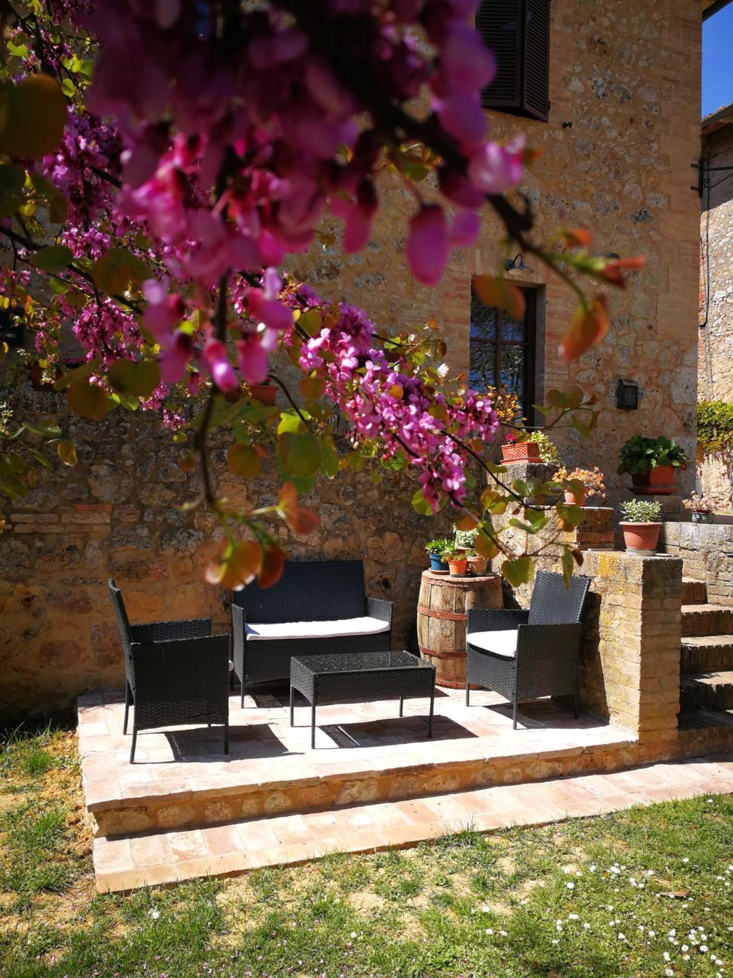 Appartamento CAMPAGNA - GIARDINO 10 min da Siena Malignano Esterno foto